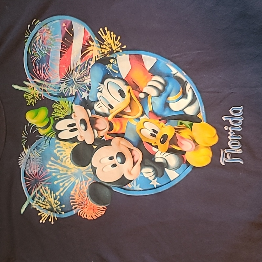 Disney T-Shirt Disneyland Florida Womens Large Navy Blue
